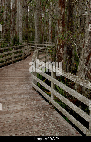 Il Boardwalk nella palude cavatappi Sancturay, Florida, Stati Uniti d'America Foto Stock