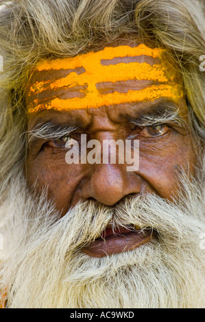 Close up ritratto di un anziano dai capelli grigi e stropicciata Sadhu fuori del Jagdish Mandir tempio in Udaipur. Foto Stock