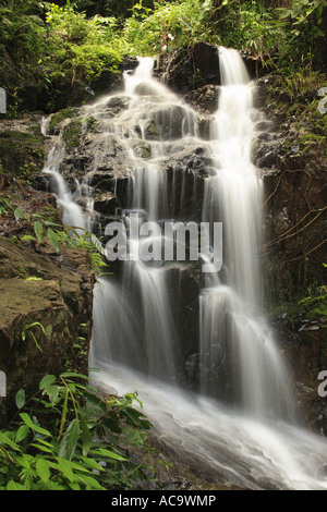 Ton Sai Wasserfall nel Parco Nazionale di Khao phra thaeo, Phuket, Tailandia Foto Stock