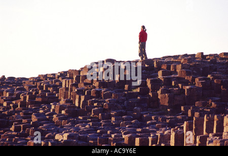 Persona sul esagonale a colonne di basalto dei Giganti Causeway, Co Antrim, Irlanda del Nord Foto Stock