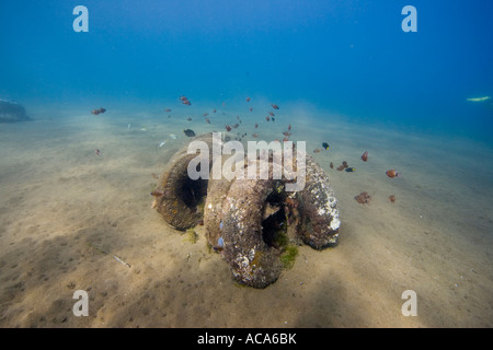 "Reef artificiale' fatta di pneumatici Foto Stock