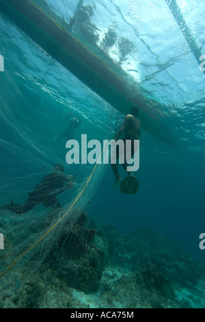 Fisher cattura needlefish pacifico con un net, Filippine Foto Stock