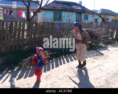 Il bambino e la donna più anziana con piccoli ramoscelli, Giulia, Romania Foto Stock