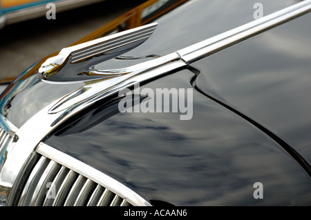 Woodies nella California del Sud, classic in pannelli di legno di grandi station wagon associate con il surf cultura degli anni cinquanta Foto Stock