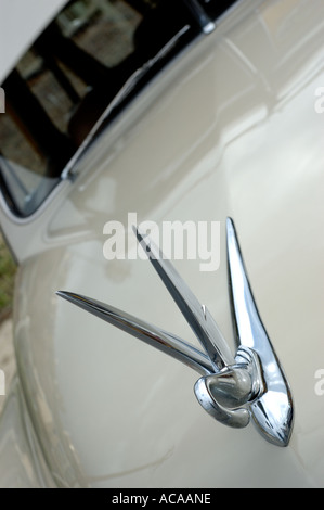 Woodies nella California del Sud, classic in pannelli di legno di grandi station wagon associate con il surf cultura degli anni cinquanta Foto Stock