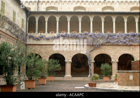 Il Glicine ,riccamente affrescata clad chiostri dell'importante del XII secolo la chiesa di San Nicola a Tolentino Marche Italia Foto Stock