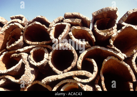 Corteccia di sughero come materiale grezzo dopo la rimozione da querce da sughero impilati all'aperto in Portogallo Foto Stock