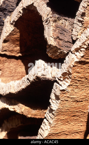 Close up di cortecce di sughero come materiale grezzo dopo la rimozione da querce da sughero impilati all'aperto in Portogallo (vedi anche A0TM01) Foto Stock