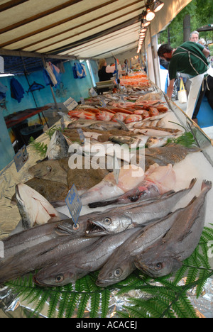 Parigi piatti di pesce al mercato di domenica sul Boulevard Richard Lenoir a Bastille Foto Stock