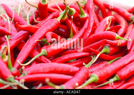 Mazzetti di peperoncino rosso's Foto Stock