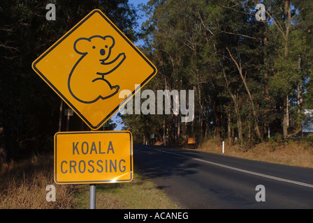 Attraversamento Koala, segno di traffico, Nuovo Galles del Sud, Australia Foto Stock