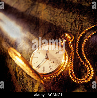 Orologio da tasca Foto Stock