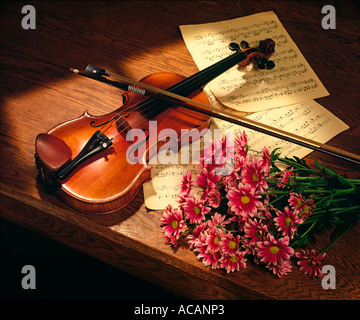 Violino Foto Stock