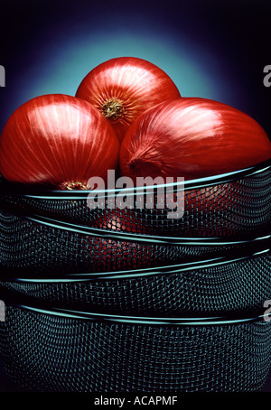 Le cipolle di crivelli Foto Stock