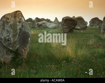 Alignements du Kermario, Carnac, Côte des Mégalithes, Bretagna (Bretagna), Francia. Foto Stock