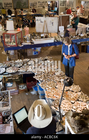 Geodes sul display durante la gems trade show tenutosi in Marfa Texas Foto Stock