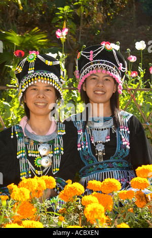 Chiang Mai - Il Phu Pong villaggio Meo, donne di Meo Hill Tribe Foto Stock