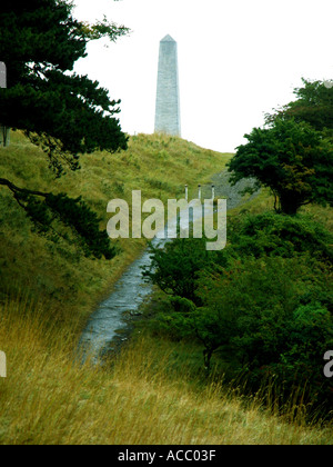 Monumento a Wellington nel Phoenix Park di Dublino Repubblica di Irlanda, Europa, obelisco, monolito, Foto Stock