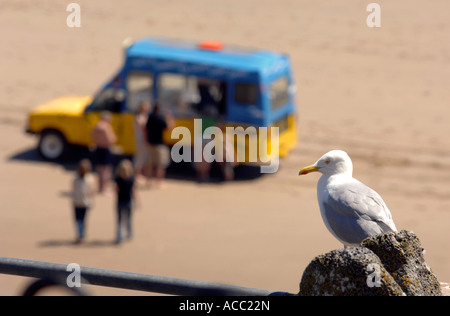 Tenby Beach, seagull e sei ruote crema di ghiaccio van, Pembrokeshire West Wales UK Foto Stock