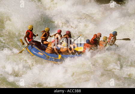 Whitewater Rafting sulle rapide Zambesi Zimbabwe Foto Stock