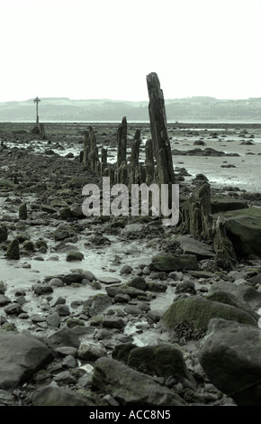 Fiume Clyde estuario litorale con le vecchie travi in legno a Cardross Foto Stock