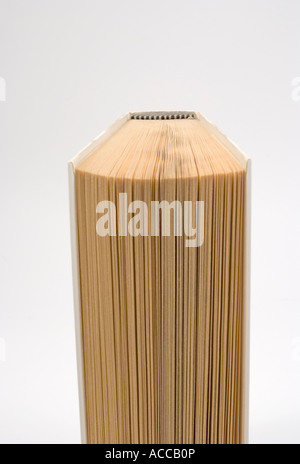 Vista astratta di un libro su sfondo bianco Foto Stock