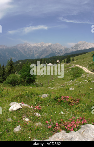 Almgebiet Velika planina in Steiner Alpen Oberkrain Slowenien Slovenia Foto Stock