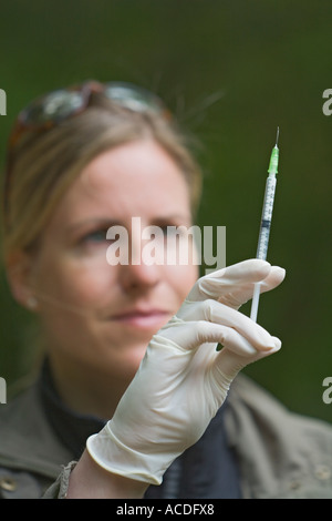 Veterinario dello Zoo la Dottoressa Sandra Silinski controllo di una siringa con un siero contro l influenza aviaria per proteggere gli uccelli zoo da infezione Foto Stock