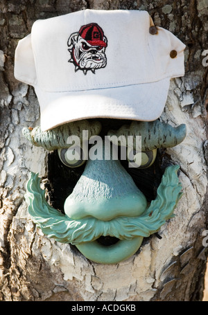 Una faccia divertente con un berretto Georgia Bulldog intagliato sul tronco dell'albero. STATI UNITI. Foto Stock