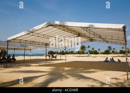 Spiaggia il baldacchino del sole e il Palm tree che forniscono ombra per i visitatori in tropical Siloso Beach con cielo blu l'Isola di Sentosa Singapore Foto Stock