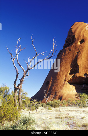 Uluru Ayers Rock Territorio del Nord Australia Foto Stock