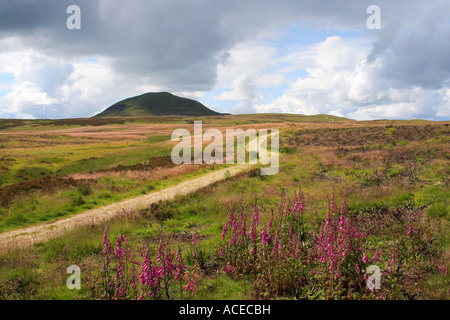 West Lomond percorso in Fife Scozia Scotland Foto Stock