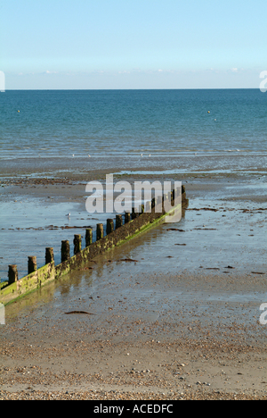 Pennelli proteggendo la sabbia e spiaggia a Bognor Regis West Sussex England Regno Unito Regno Unito Foto Stock