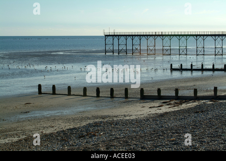 Pennelli proteggendo la spiaggia e Bognor Regis Pier West Sussex England Regno Unito Regno Unito Foto Stock