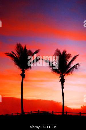 Tramonto in Broome, Australia occidentale Foto Stock