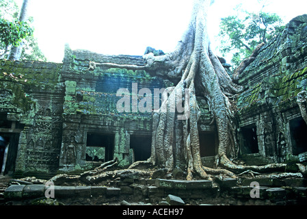 Ta Prohm tempio di Angkor Wat Cambogia complesse Foto Stock