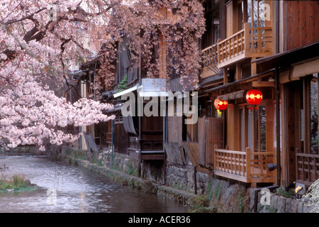 Vecchie case cittadine e ciliegi in fiore lungo il fiume Shirakawa nello storico quartiere di Gion a Kyoto, in Giappone. Foto Stock