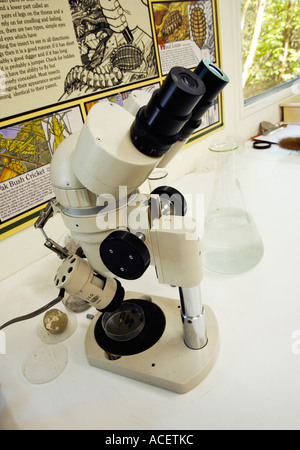 Microscopio e in un laboratorio della natura Foto Stock