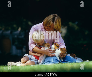 Ragazzo e madre con i cuccioli Foto Stock