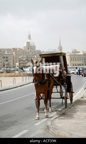 Karrozin cavallo buggy a La Valletta, Malta in attesa di passeggeri. Foto Stock