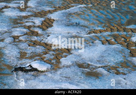 Ghiaccio sulla sabbia Poole Dorset England Regno Unito Foto Stock