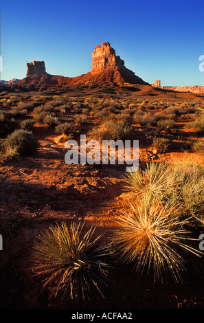 Guanti in Valle degli Dèi vicino a Bluff Utah USA US STATI UNITI D'AMERICA Foto Stock