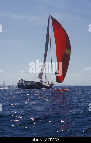 Superyacht Cup Palma 2007 - Super Yacht a vela in modo ( con spinnaker ) nella baia di Palma - Palma de Maiorca, Baleari Foto Stock