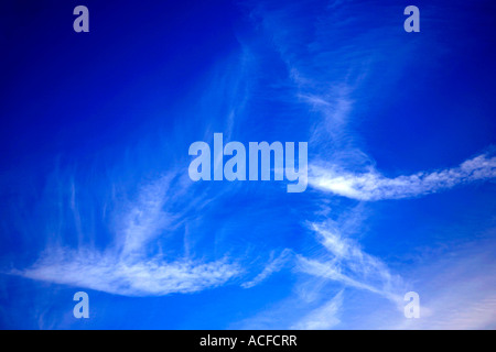 White Cirrus nubi in un brillante blu cielo polarizzato