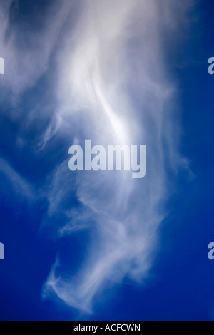 White Cirrus nubi in un brillante blu cielo polarizzato