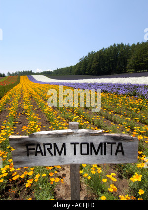 Fiori colorati in campo a Farm Tomita un popolare floricoltura farm in Furano Biei Hokkaido in Giappone 2005 Foto Stock