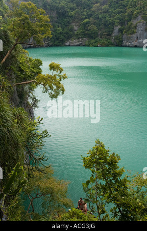 Thale Nai acqua di mare smeraldo lago Ang Thong National Marine Park Ko Samui Thailandia Foto Stock