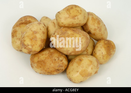 Jersey Royal patate ex supermercato shop ha acquistato tuberi Foto Stock