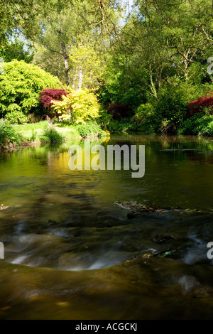 Il fiume Nadder presso la Abbey House Gardens, Malmesbury, Wiltshire, Inghilterra, Regno Unito Foto Stock