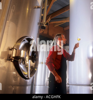 La Borgogna enologo controlli di vetro bianco vino di Borgogna in vino moderno stabilimento di produzione Borgogna Francia Foto Stock